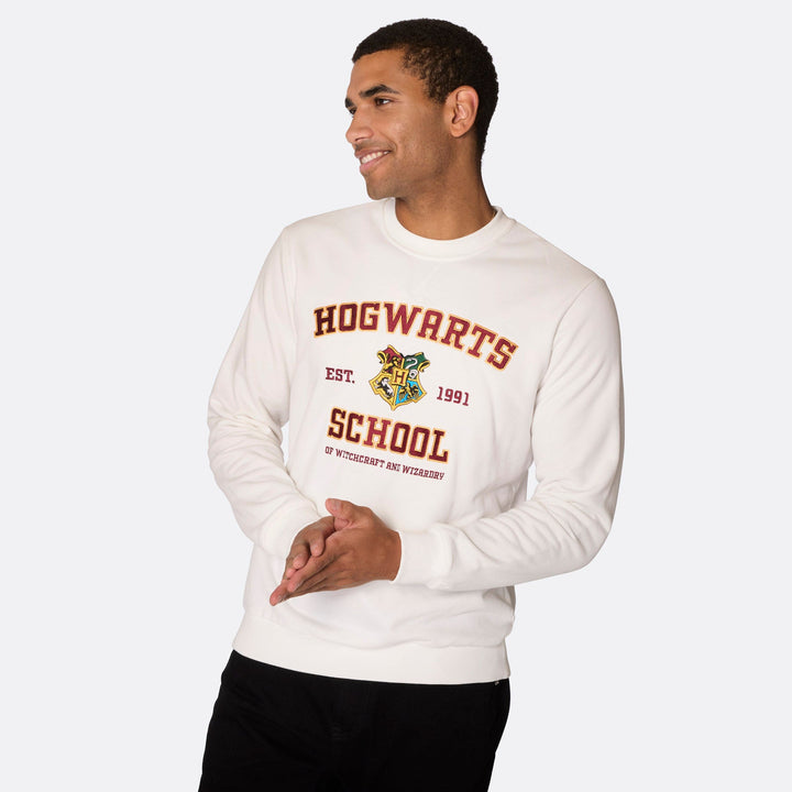 hogwarts school jumper