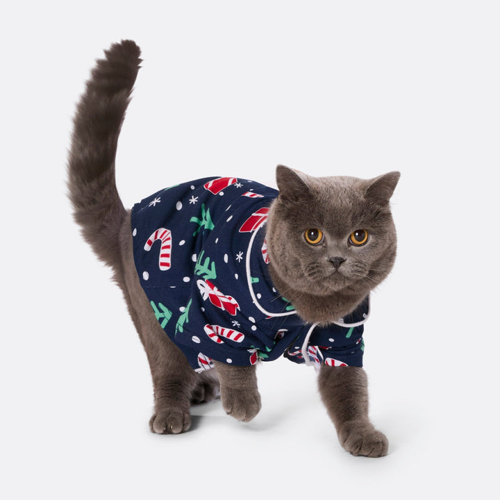 Blue Christmas Pattern Christmas Pyjamas Family
