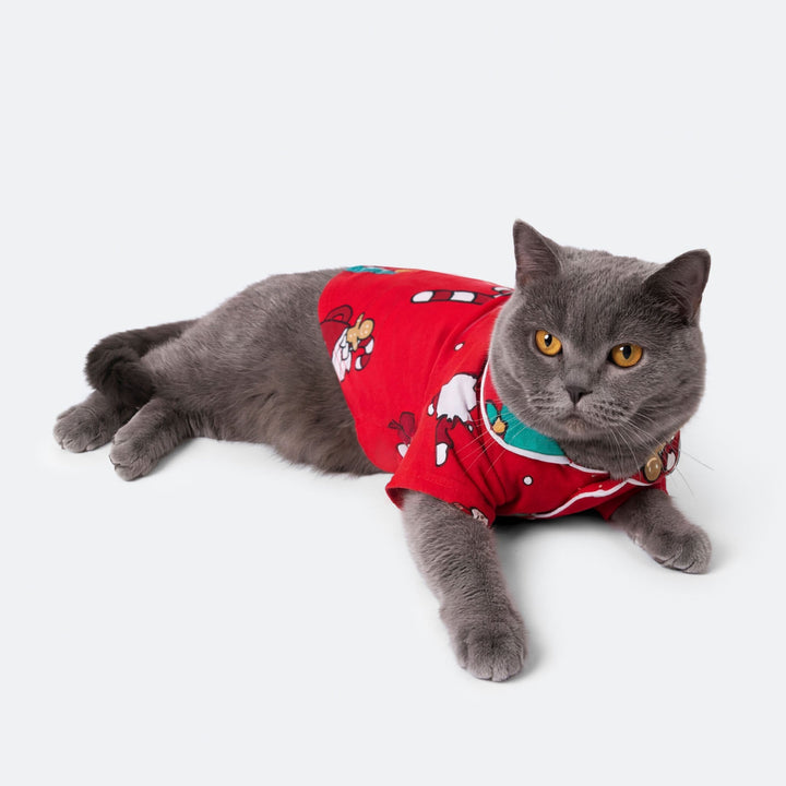 Cats&
