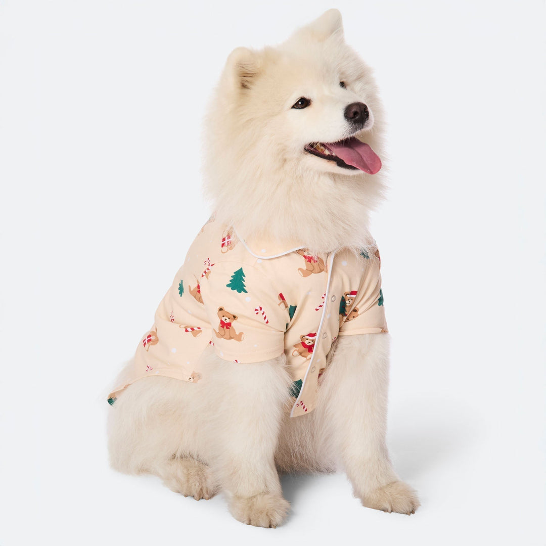 Beige Teddy Bear Christmas Pyjamas Family