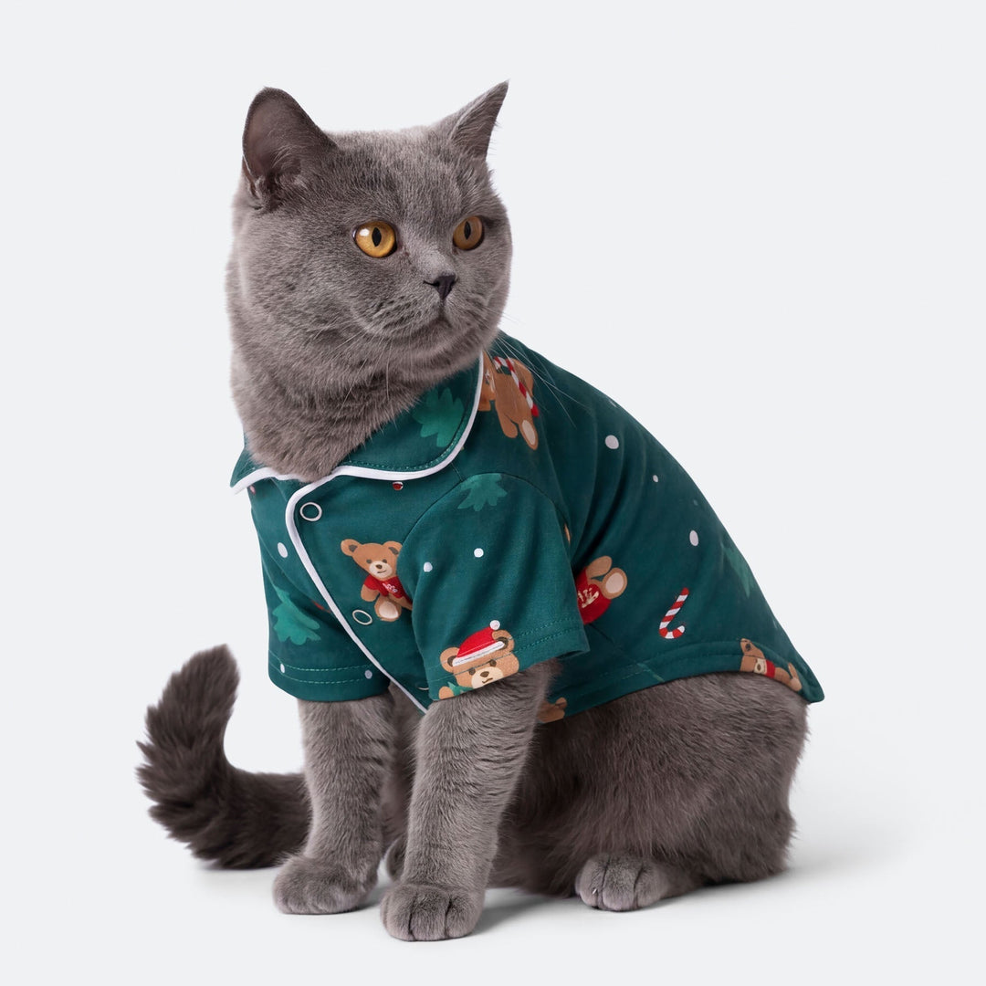Green Teddy Bear Christmas Pyjamas Family