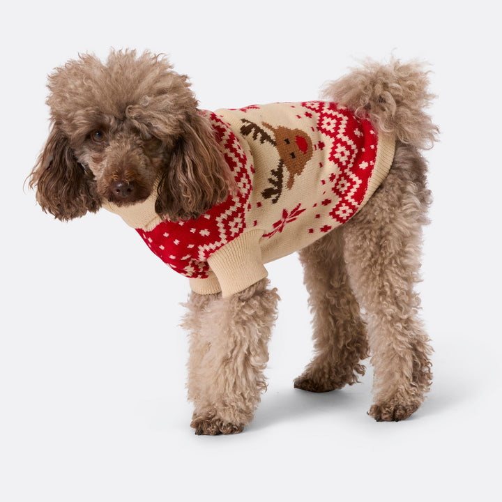 Dogs' Red Retro Reindeer Christmas Jumper