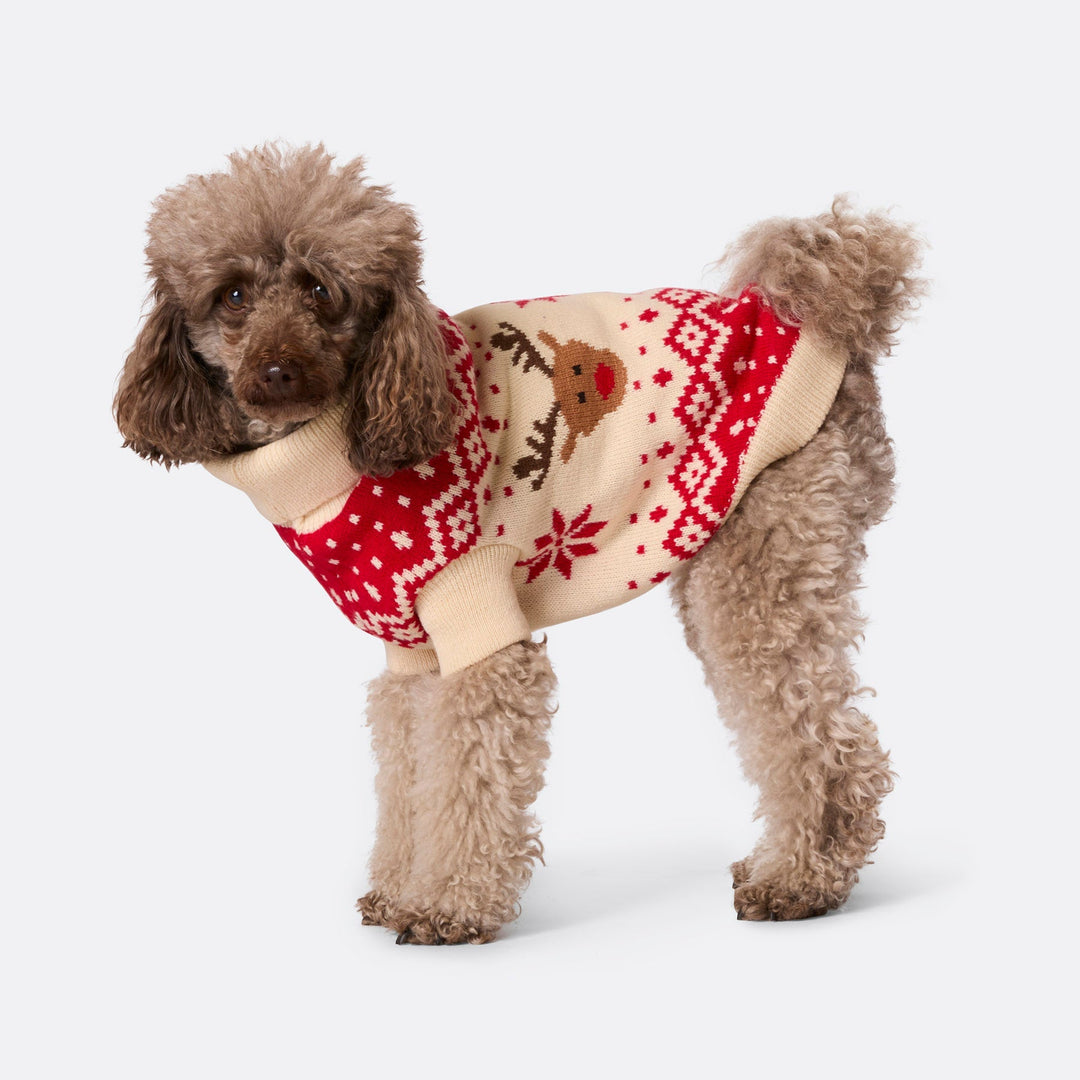 Dogs' Red Retro Reindeer Christmas Jumper