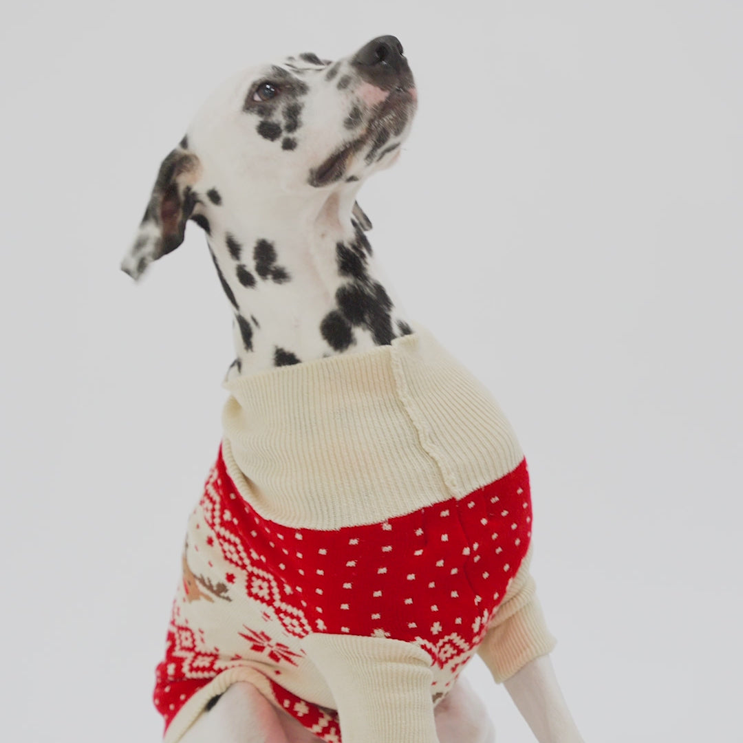 Dogs' Red Retro Reindeer Christmas Jumper